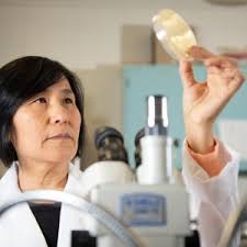 Alabama Cooperative Extension System 2024 Annual Report