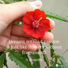 No list of fragrant flowers is complete without the rose. Dreams Without Passion Is Quotes Writings By Anatron 26 Yourquote