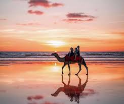 .for camel, camel arabic pronounce, camel in arabic language, what is a camel in arabic, what is the arabic of camel, translation in arabic camel how to write camel in arabic, arabic pronunciation for camel, translate camel in arabic word, english learning for arabic camel, arabic words letter. Is Arabic The Richest Language In Words Iti Translates