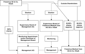 Fresenius Medical Care Ag Co Kgaa