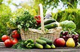 Vegetable Manufacturers In Ranchi Vegetables Wholesale Suppliers And Exporters In Jharkhand