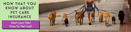 Both napps and pet sitters international, another pet sitting association, offer group rates through like most other forms of insurance, pet sitting insurance is something i like to have and prefer not. Your Definitive Guide To Pet Sitting Insurance For 2021 Time To Pet