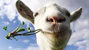 Αυτός ο άνθρωπος είναι σωστό αρνί … νέο ερμηνευτικό λεξικό της νεοελληνικής γλώσσας (новый. Paraggeilete Arni Twra A8hna 9 84