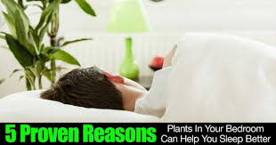 It restores energy, reduces stress, and a study in japan found that plants play a big role in physiological relaxation and immune recovery. 5 Proven Reasons Plants In Your Bedroom Can Help You Sleep Better