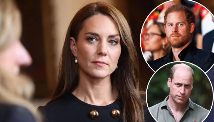 Kate Middleton 'stressed' as Prince Harry announces risky new plans