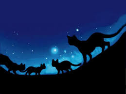 Hd backgrounds of warrior cats from the book of erin hunter with every new tab you open. Warrior Cats Wallpapers Top Free Warrior Cats Backgrounds Wallpaperaccess