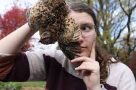 Impacting the community, one clean vehicle at a time