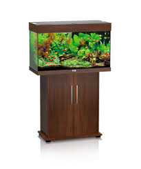 juwel aquarium rio 180 black fish tank decorations dark wood fish tank