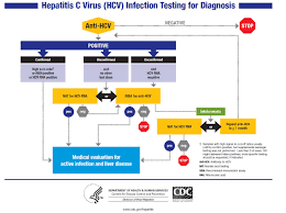 Hepatitis C Laboratory Tests Wikidoc