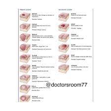 Primary And Secondary Lesion Primary Skin Lesions Are Those Which Develop As A Direct Result Of The Disease Doctor Anatomy And Physiology Problem And Solution