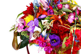 June Flowers By Jardins Des Fleurs Flower Art Japanese Flowers Flower Arrangements