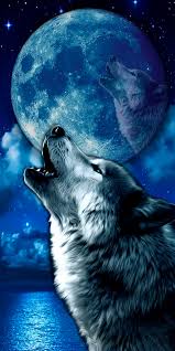 Select from 35970 printable coloring pages of cartoons, animals, nature, bible and many more. 790 Cool Wolf Pics Ideas In 2021 Wolf Wolf Pictures Wolf Spirit