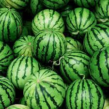 We did not find results for: How To Grow Watermelons