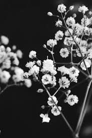 If sophisticated interiors and polished furniture are your thing, you could still incorporate a unique touch to your property with the wallpaper. Wallpaper Aesthetic Black And White Background Novocom Top