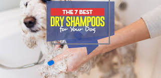 We have spent many hours to find out the best dog deodorizer within your budget. Top 7 Best Dry Dog Shampoo And Deodorizing Sprays Of 2018