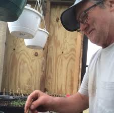 LaBelle's Lake Side Greenery