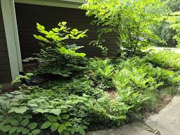 Same day delivery & 20% off! Showcase Patios Native Plants Natural Stone Sustainable Gardens Rain Garden Landscaping Milwaukee Eco Harmony Landscape Design Llc