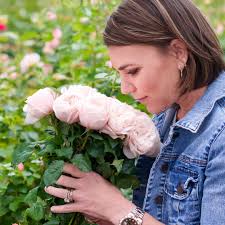 Peach Rose Bush Collection