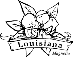 Set 2 peony and magnolia, coloring page, botanical art, louisiana flower, line drawing, clipart, black white, flower print, digital stamp price: Magnolia Coloring Pages Best Coloring Pages For Kids