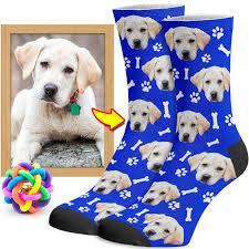 Simply upload a photo of any face (human or your furry friend's. Custom Dog Socks Put Your Dog On Socks Socksery