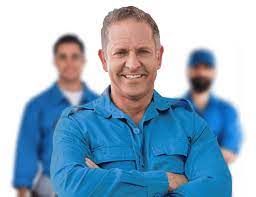 The climate allows for thriving populations of stinging pests like yellow jackets, paper wasps, and carpenter bees. Canady S Termite Pest Control Pest Control Services Laurinburg Nc