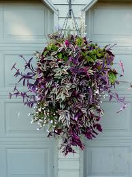 Best trailing flowers for hanging baskets. How To Make And Plant A Hanging Basket