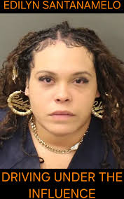 Edilyn Santanamelo Moving Traffic Violation