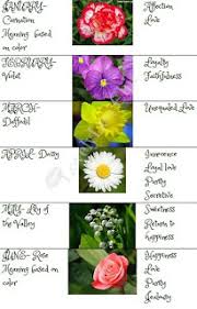 gift ideas for family birth month flowers chart