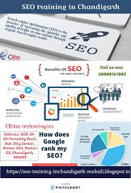 Seo Training In Chandigarh Cbitss Is The Best Place To Learn And Gain Knowledge Of Seo To Promote Our Product And Gain Traffic In Seo Training Seo Train