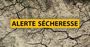 Alerte sécheresse : Arrêté du 29 Mai 2020 -