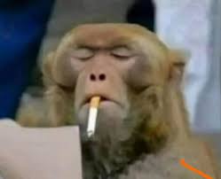 Pablo Wolff (@pabloawolff)