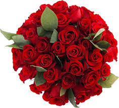 Amazon fresh gift cards all departments amazon international store automotive baby beauty & personal care books cds & vinyl clothing, shoes & jewellery computer & accessories electronics garden & outdoor grocery health, household & personal care home industrial. Amazon Com 100 Beautiful Farm Fresh Red Roses Bouquet By Justfreshroses Long Stem Fresh Red Rose Delivery Everything Else