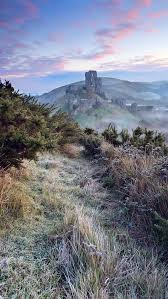 Hd weed wallpapers iphone amazing wallpaper hd library •. Best Weed Iphone Hd Wallpapers Ilikewallpaper