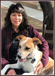 Cortaro farms pet hospital tucson, az 85742. Pet Stores Plaza Pet Clinic Tucson