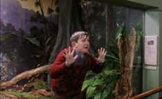 Dudley Dursley Harry Potter Harry Potter Funny Harry Potter Wiki