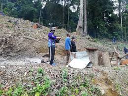 Masih kekal hutan hijau yang amat menarik bagi peminat alam flora yang segar.lokasi admin dah tolong tag. Lelaki Ceroboh Hutan Untuk Tanam Durian Ditahan My News Online