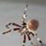 Maybe you would like to learn more about one of these? Ap Pest Control Buffalo Ny Alignable