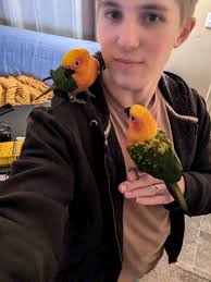 It's that time of year again to share some Rimmerly love.