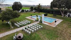 Image result for Atalaya alata