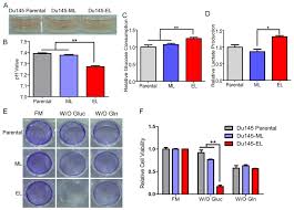 It may initially cause no symptoms. Enhanced Glycolysis In Tic Enriched Prostate Cancer Cells A Culture Download Scientific Diagram