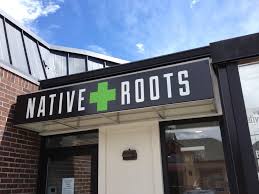 Meet the Money Man Behind Colorado's Largest Cannabis Chain