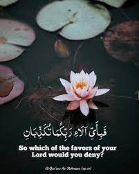 Pin On Quran