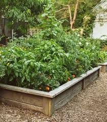 Even if you've got a small yard these vegetable garden ideas will help you make the most of your plot. Small Vegetable Garden Ideas Tips Garden Design