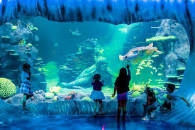 Pin On Australia Popular Tourist Attractions