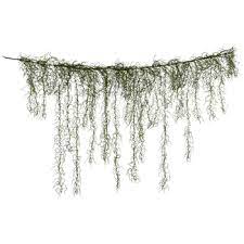 Green Spanish Moss Garland Hobby Lobby 343285 In 2021 Moss Decor Spanish Moss Farmhouse Fall Decor