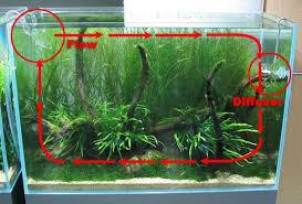 How To Setup Proper Water Flow Filtration Aquatic Plant Central Aquarium Aquarium Design Betta Fish Tank