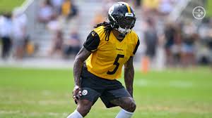 Steelers' DK Metcalf Sends Bold Message to Jets Defense! - Imagen principal del artículo