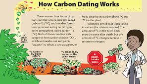 However, plants and animals that are still alive constantly replace the supply of carbon in their systems and so. Lesson 17 How About A Date Part 1 Kids Quiz Activity Kids Answers