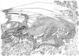 Check spelling or type a new query. 20 Free Printable Dragon Coloring Pages For Adults Everfreecoloring Com