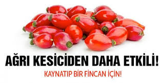 Gecmis Olsun Oncelikle Allah Sifa Versin Bu Kuru Deneyin Sifa Bulursun Hic Bir Zarari Yok Hata Cok Faydasi Var Saglikli Yasam Saglikli Yasam Tarzi Dogal Saglik